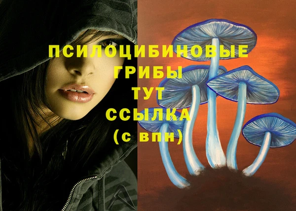 MDMA Абаза