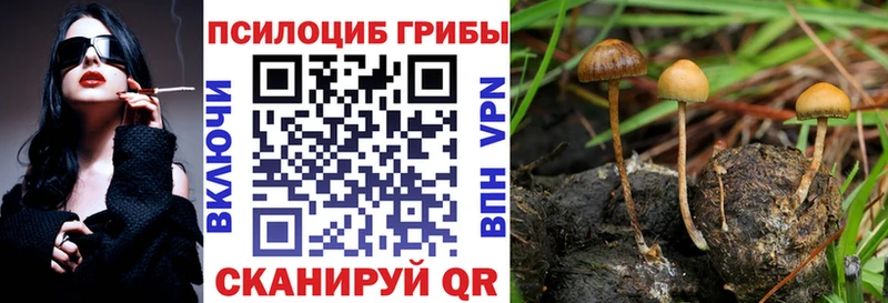 Галлюциногенные грибы ЛСД  купить наркотики цена  Старый Крым 
